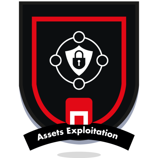 Assets Exploitation